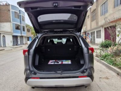 RAV (11)