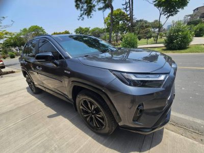 RAV (3)