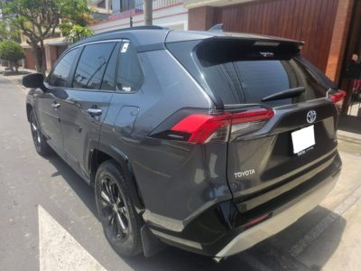 RAV (6)